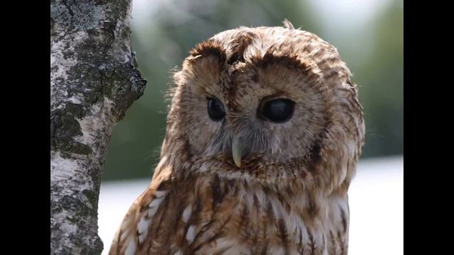 Берегите любовь :) смотреть онлайн