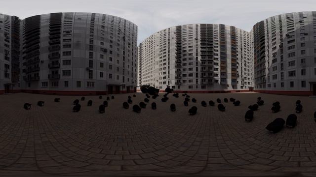 Кот Максвелл танцует в VR 360 смотреть онлайн