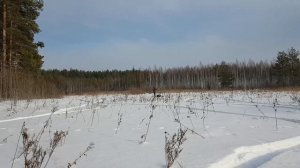Мотоснегокат по глубокому снегу в лесу.