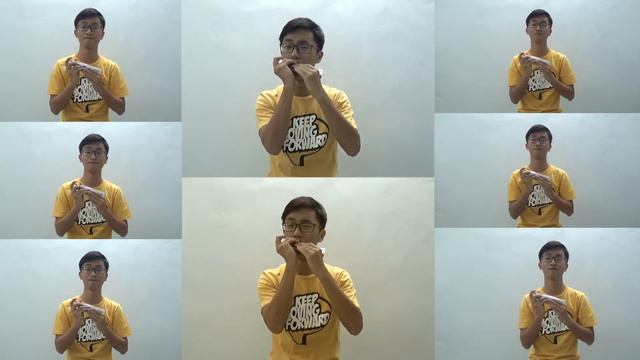 Ed Sheeran-Shape of you Harmonica Cover смотреть онлайн