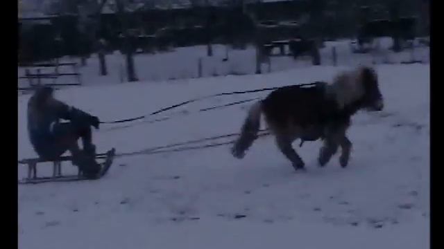 I don't care i love it! смотреть онлайн