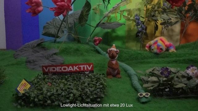 Testvideo: Sony PXW-FS5 II смотреть онлайн