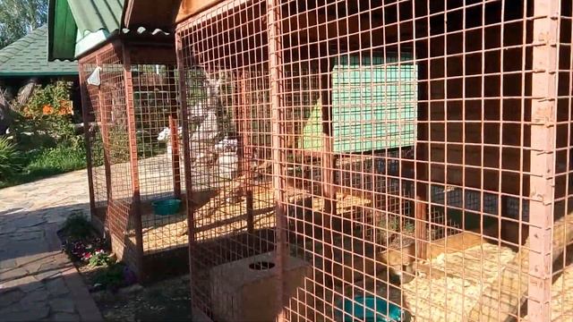 Экоферма "Семейное подворье" на запад от Челябинска смотреть онлайн