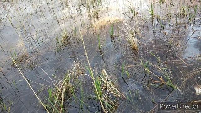 🏹Железная рука ( рыбалка с рогаткой) смотреть онлайн