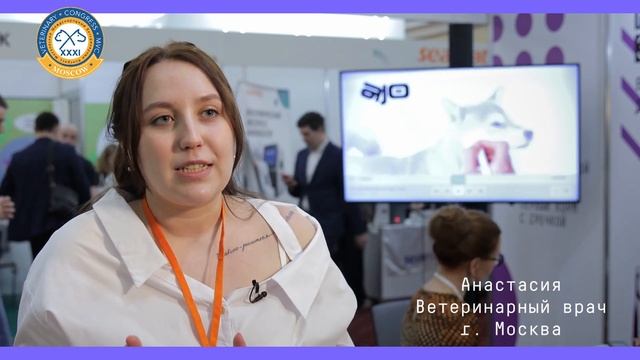 Ветеринары о корме для кошек и собак смотреть онлайн