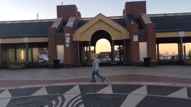 Пони бегает по кругу смотреть онлайн