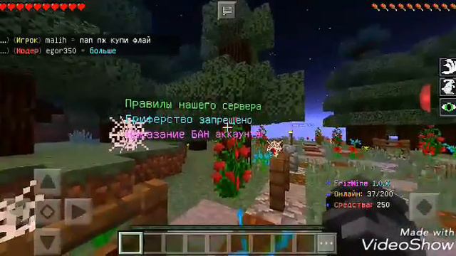 Обзор топового сервера Frizmine