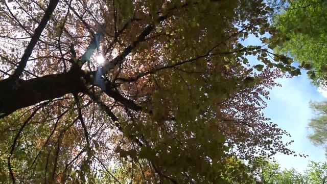 Sony FDR-X300 4k Test смотреть онлайн