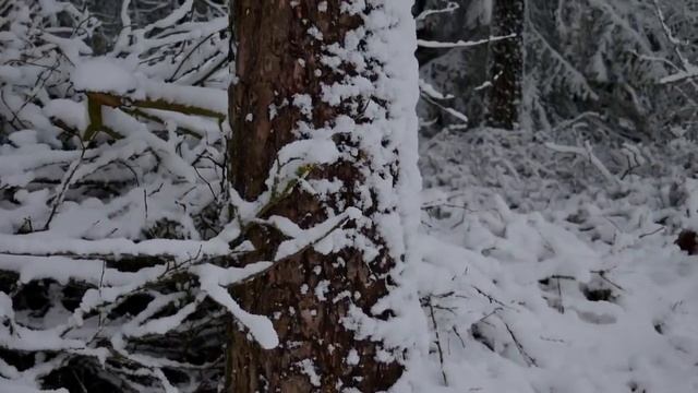Лучшие Страшные истории на ночь - ПРАВИЛА ДЕРЕВНИ КОЧАНОВО ("6.15гр" Вольский) Ужасы Мистика Хоррор смотреть онлайн