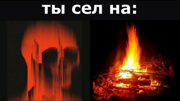 Ты сел на_