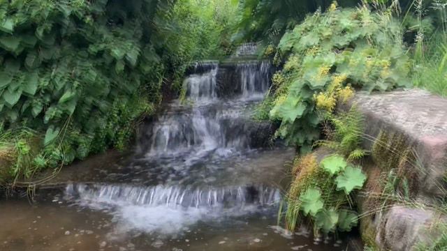Waterfall | Chilling nature HD iPhone XR смотреть онлайн