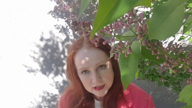 Стихии смотреть онлайн