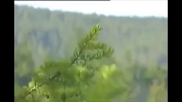 Что делать будем россияне? смотреть онлайн