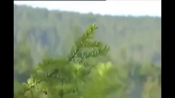 Что делать будем россияне?