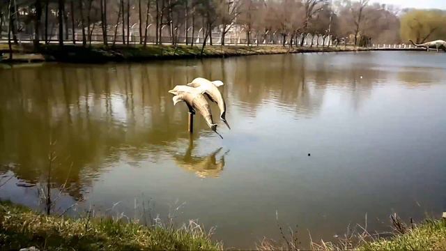 Поход в Ростовский зоопарк! Vlog! смотреть онлайн