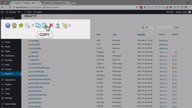 Miwo WordPress FTP Plugin ⏰ How To Install & Use It | WP Learning Lab смотреть онлайн