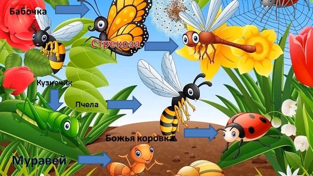 Занятие по рисованию как нарисовать насекомое смотреть онлайн