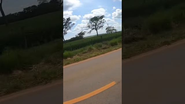 Gratidão 🙏🏻 #viralshorts #s1000xr