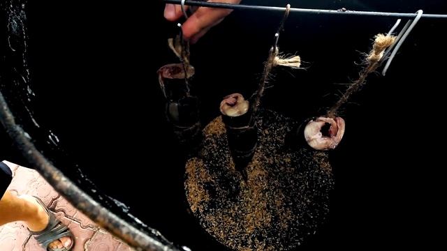 Аниме-Клипы и Музыкальные Видео