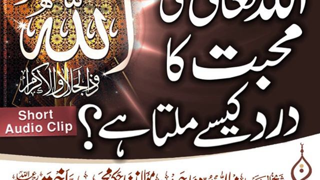 اللہ تعالی کی محبت کیسے حاصل کریں؟ Shah Hakeem Muhammad Akhtar Sb Rahmat Ullah смотреть онлайн