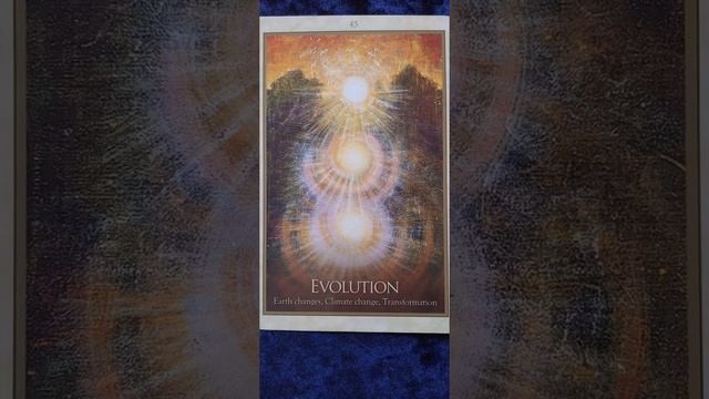 Evolution ? Gaia Oracle card meaning смотреть онлайн