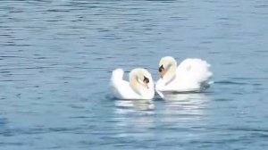 Я по Тебе скучаю. Караоке