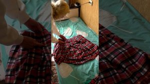 Как удлинить платье, если нет запасного лоскута ткани