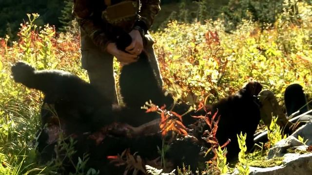The Northern Rockies: British Columbia Grizzly Pt. 2 | S4E06 | MeatEater смотреть онлайн