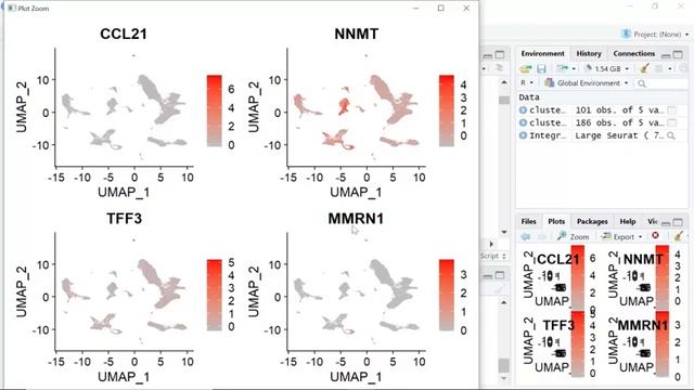 Seurat Video Tutorials--Video 11: Rename Cell Clusters and Use Your Favourite Colours смотреть онлайн