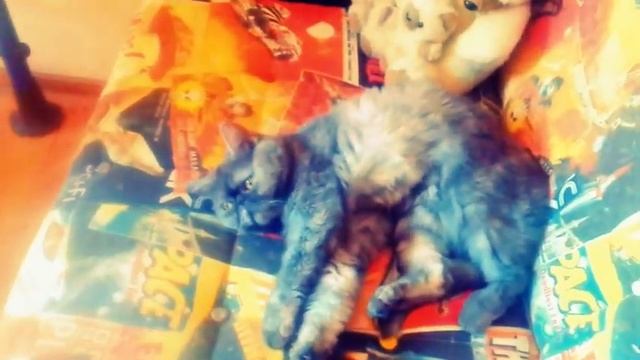 Как сделать желатиновую кока-колу