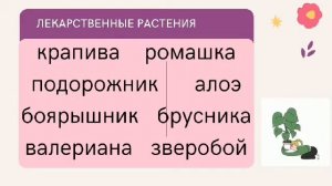 Действия в случае отравления. 3 класс. ОБЖ