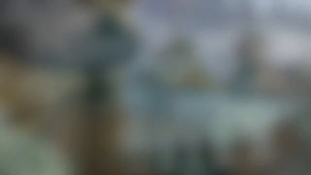 Беседы о Святой Евхаристии (Иером.Николай - шесть бесед. 1/6) смотреть онлайн