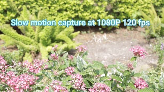 Canon EOS 90D EF 24-105mm Video Test смотреть онлайн