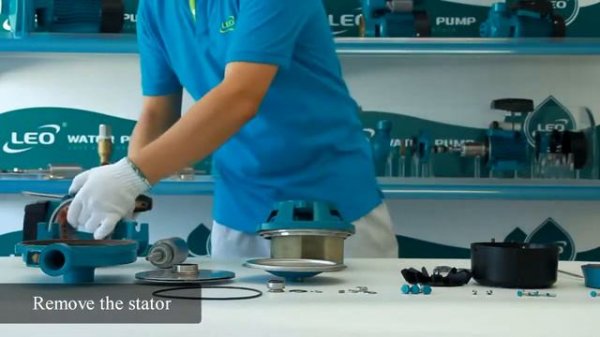 LEO ACm75 Pump Disassembly & Assembly