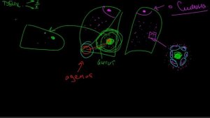 Патанатомия | Туберкулез. Первичный, Вторичный. Очаг Гона. Очаг Абрикосова. Милиарный туберкулез.
