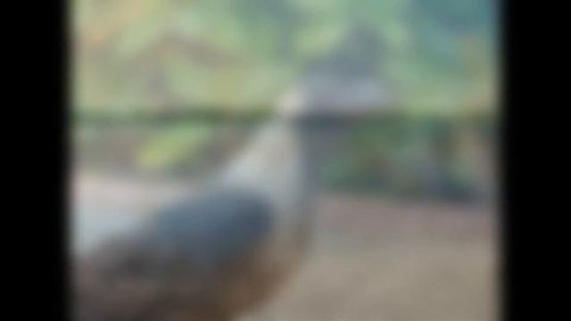 NIKON L820 sample pictures смотреть онлайн