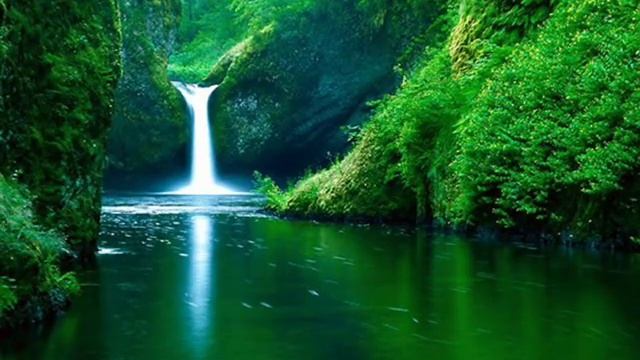 Phil Collins A groovy kind of love смотреть онлайн