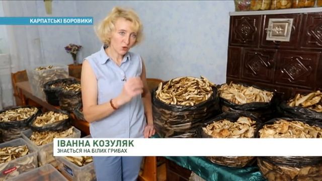 Где найти идеальные сушеные боровики | Ранок з Україною смотреть онлайн