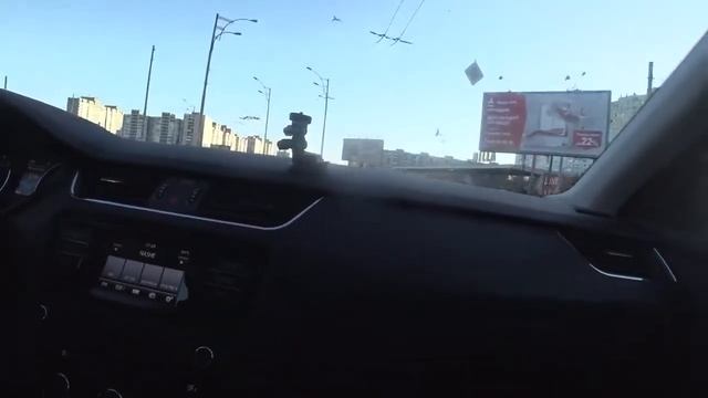 МОПС НАБИЛ МОРДУ МАРТЫНЕНКО смотреть онлайн