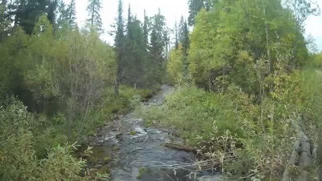 ХАРИУС НА УДОЧКУ! ГОРНАЯ РЫБАЛКА.(часть1). смотреть онлайн