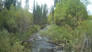 ХАРИУС НА УДОЧКУ! ГОРНАЯ РЫБАЛКА.(часть1).