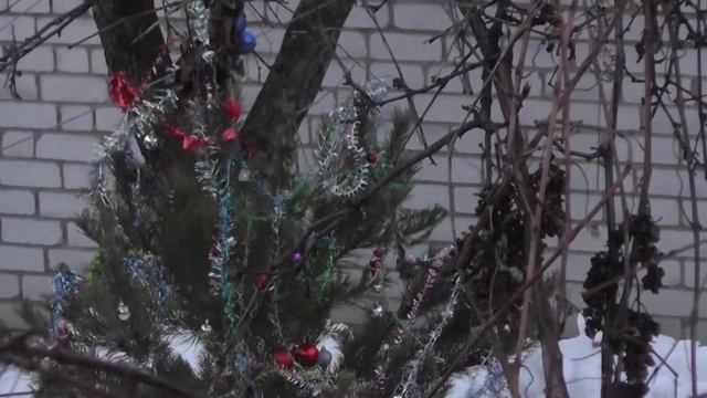 Рождественские гуляния с Джерри// Christmas festivities with Jerry смотреть онлайн