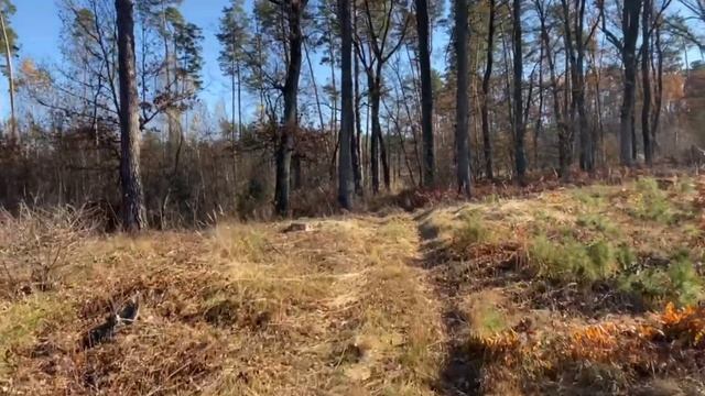 Мотороллер Муравей 2М перший виїзд 2 смотреть онлайн