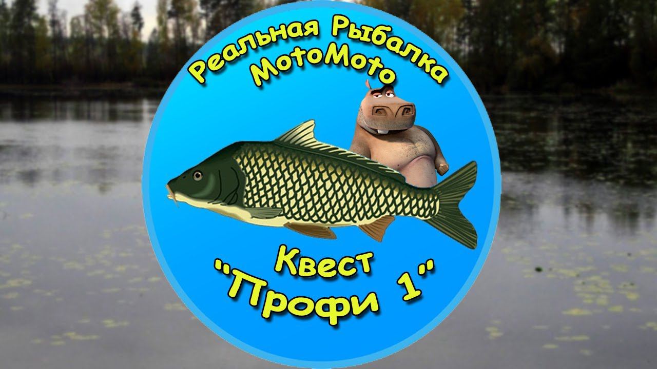 Квест "Профи 1" [NEW] | Реальная Рыбалка смотреть онлайн