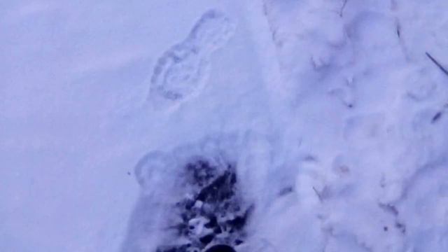 Когда речка замёрзла смотреть онлайн