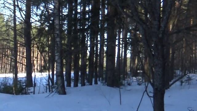 Начало весны в лесу. смотреть онлайн