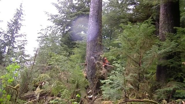 Michael Hawkins The Cutter Travels North To Alaska In Search Of Big Wood