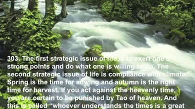 800 Values for New Era Human Being—Life 2(2) смотреть онлайн