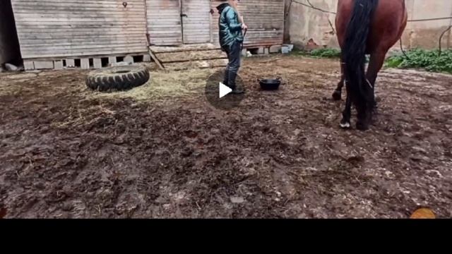 Настя и Горец, "Еда моя", зачёт смотреть онлайн
