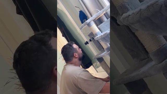 Слишком любопытный))) смотреть онлайн